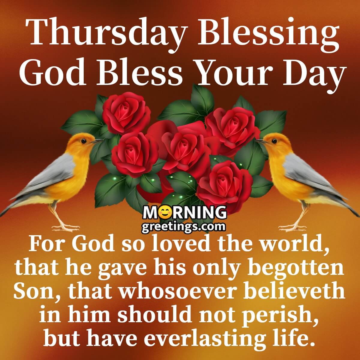 Read more about the article Thursday morning blessings